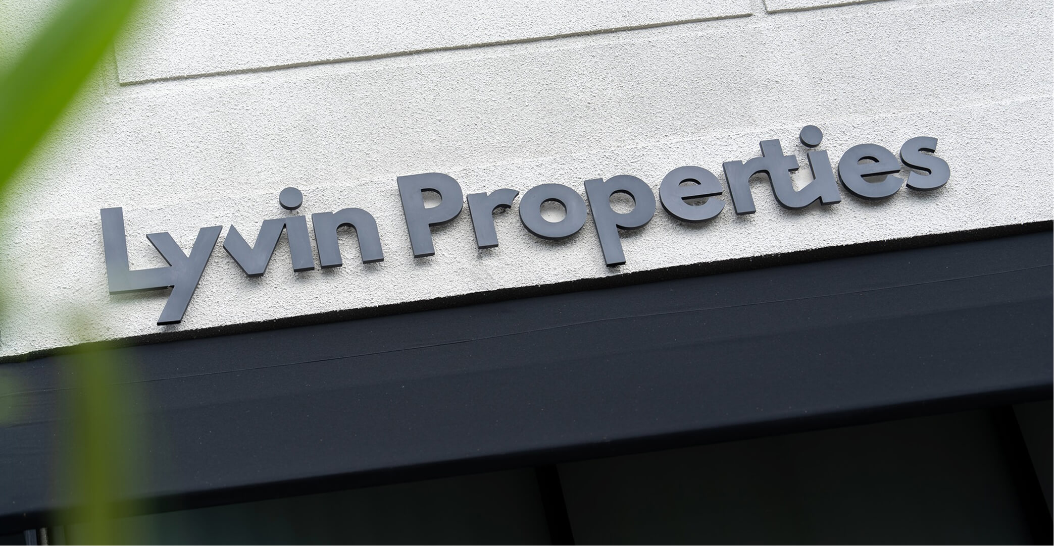 Lyvin office interior
